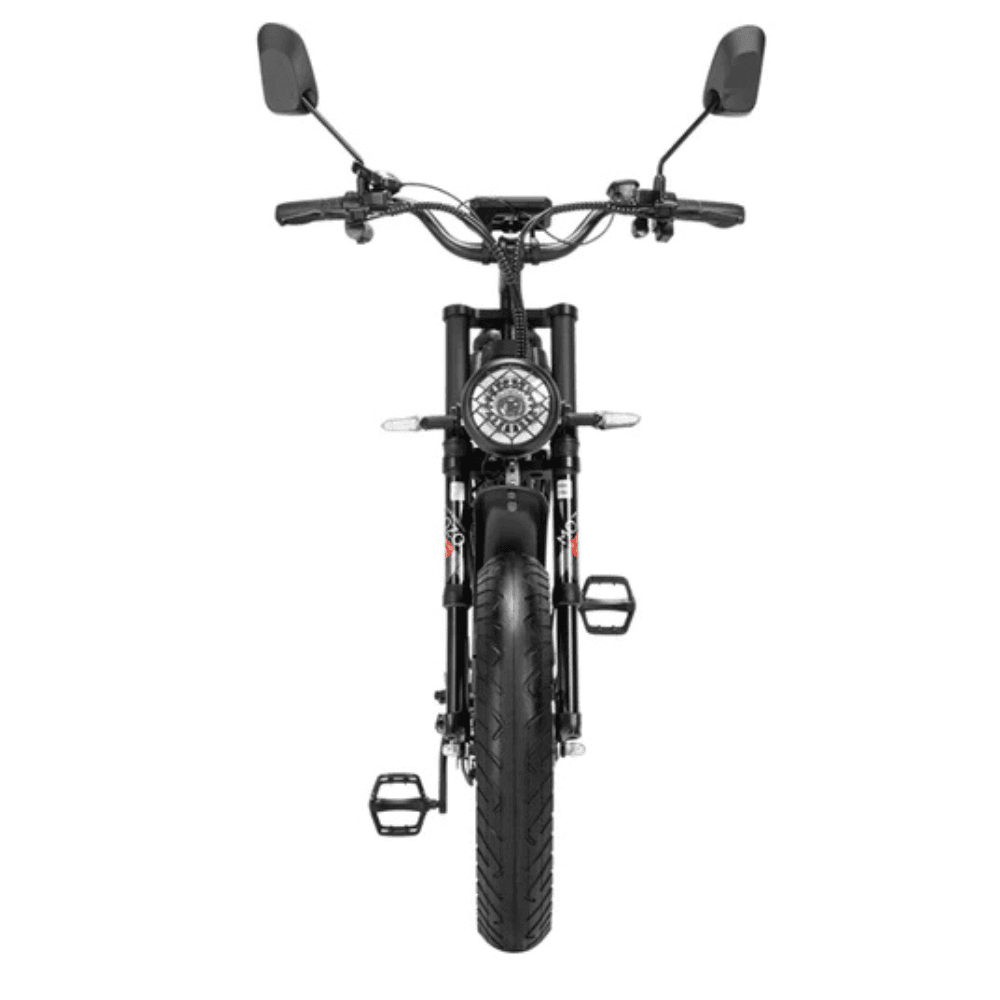 Ridstar Q20 Pro 2000W Fat Tire Electric Bicycle